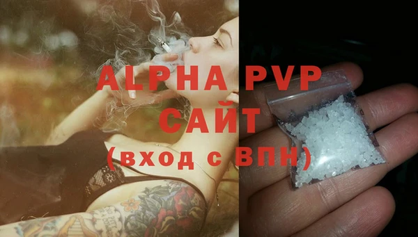 индика Михайлов