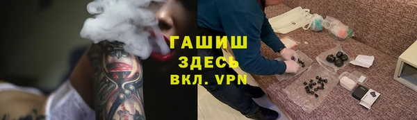 индика Михайлов