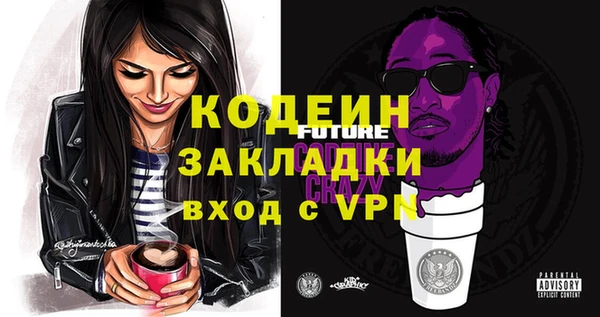 индика Михайлов