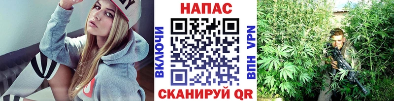 гидра онион Каргополь МАРИХУАНА индика купить наркотики сайты